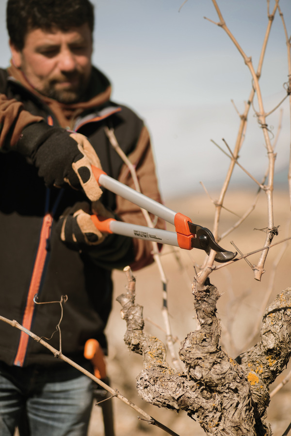 Tijera de poda 2 manos Advance Profesional 0390-40