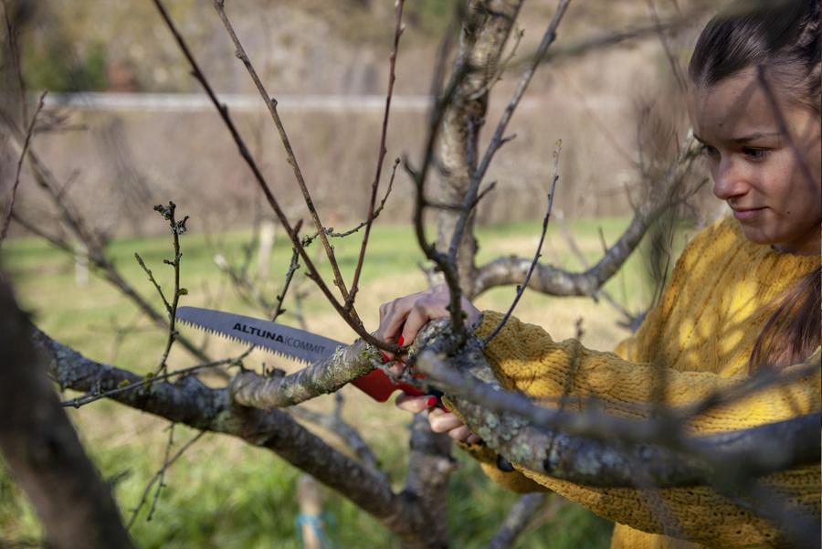 Serrucho poda hoja recta J420