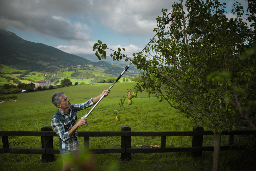 Recoge frutas telescópico 130-200 cm 90101