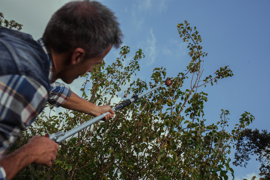 Recoge frutas telescópico 130-200 cm 90101