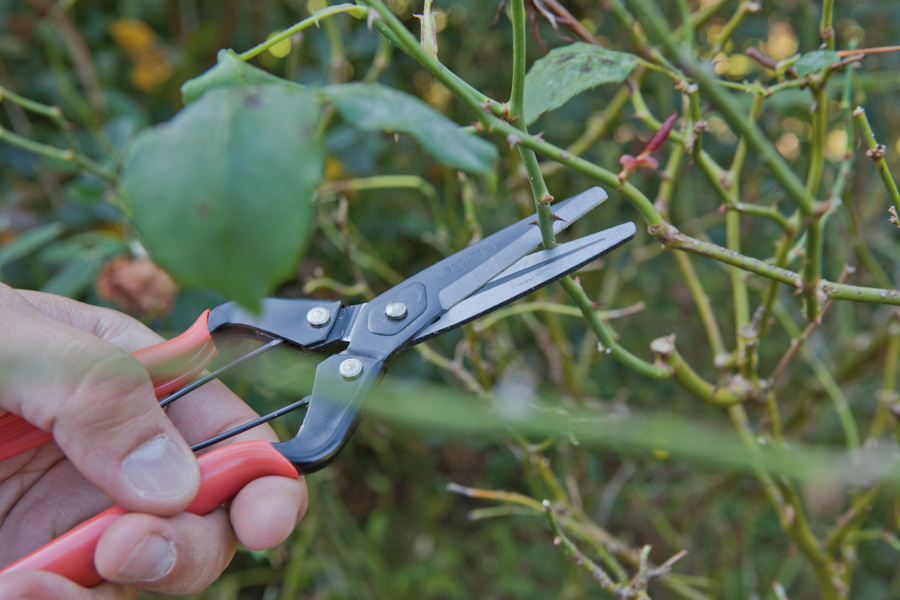 Tijera Altuna de recolección 1272