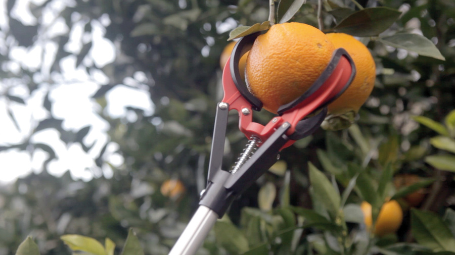 Recoge frutas fijo 211cm 90106