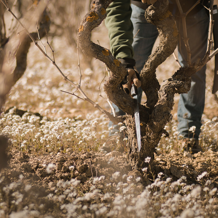 Serrucho poda hoja recta J423