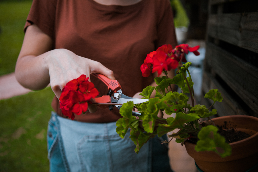 Tijera Altuna de recolección 1260