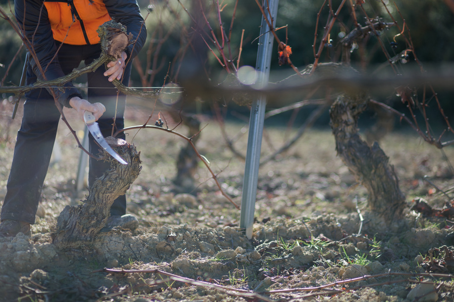 Serrucho de poda curvo 330mm dentado japonés 29600