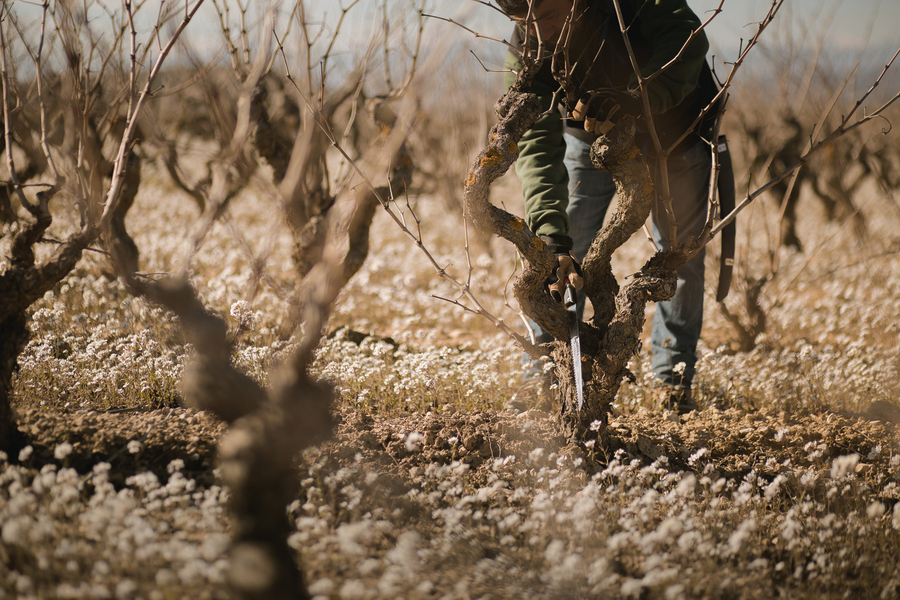 Serrucho de poda recto 300mm dentado japonés. Mango de aluminio engomado 29618