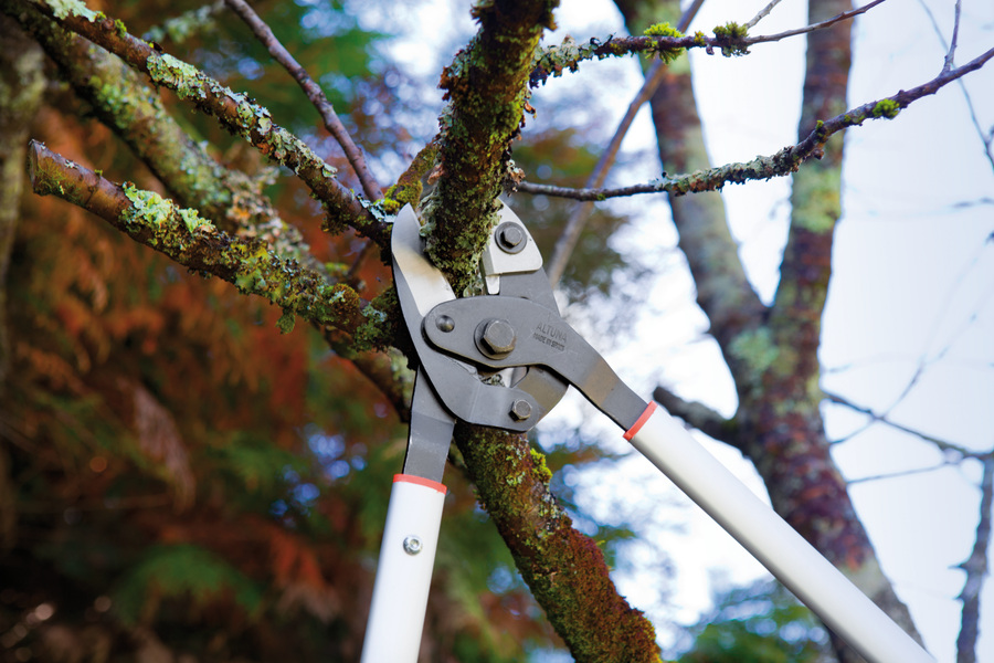 Tijera de poda 2 manos corte yunque 0390YT