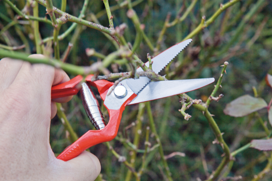 Tijera Altuna de recolección 95001B