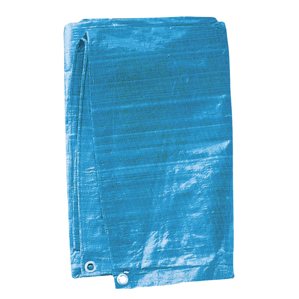 TOLDO POLIETILENO 4 X 6 M.