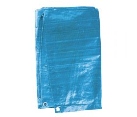 TOLDO POLIETILENO 6 X 10 M.
