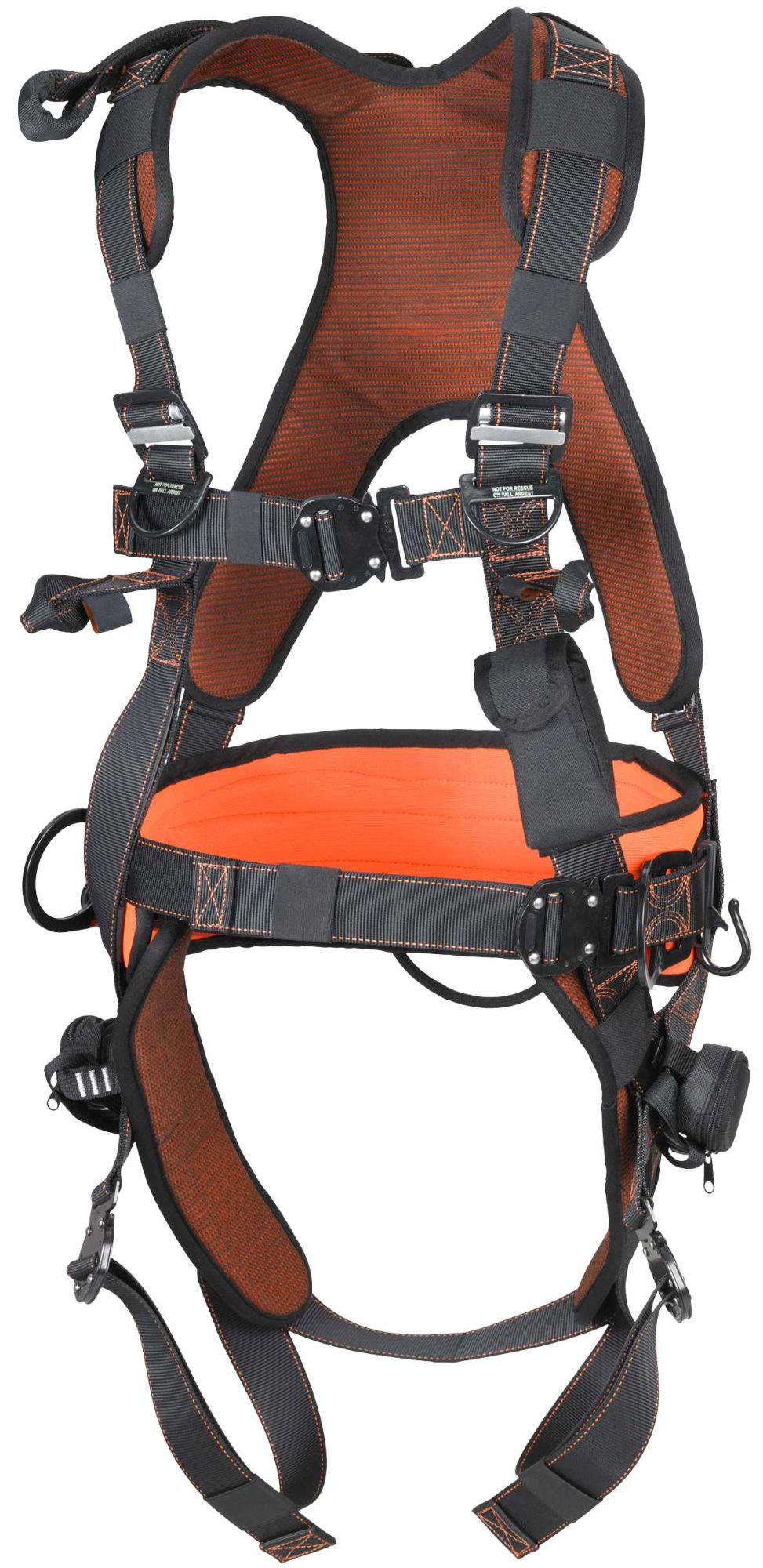 ARNÉS EXCLUSIVO ENGANCHE DORSAL Y FRONTAL CON CINT