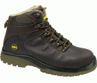 BOTA FALCON