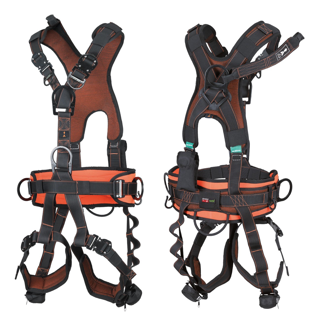 ARNÉS EXCLUSIVO ENGANCHE DORSAL Y FRONTAL CON CINT